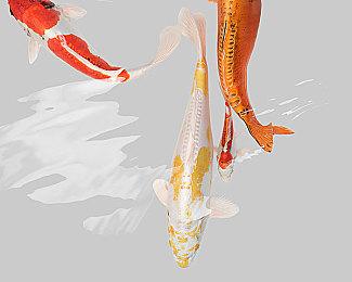 历时7年开发《动物井》的制作人透露 下一款游戏不会耗费那么久的时间